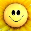 Логотип телеграм канала @hohmatop — Прикол на приколе