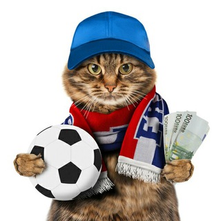 Логотип телеграм канала @hohol_bets — HoholBets