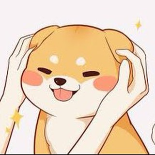 电报频道的标志 holidaylnn — 柴犬爸爸心水谷