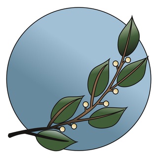 Logo des Telegrammkanals holistischegesundheitheilung - Holistische Gesundheit & Lifestyle