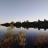 Логотип телеграм канала @holmogor29 — Холмогоры онлайн