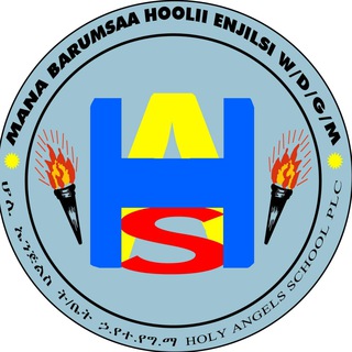 Logo of telegram channel holyangelsschooladama — Holy Angels School Adama 1986