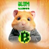 لوگوی کانال تلگرام homblum — Hamster Kombat • Blum • Tap Swap • Новости