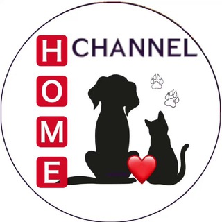 Логотип телеграм канала @home_channel_1 — 🅷🅾︎🅼🅴❤️🅲🅷🅰︎🅽🅽🅴🅻