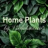 Логотип телеграм канала @home_plants_zakupka — Home Plants 🌿 | Закупка растений | Клоны | Голландия