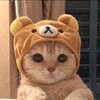 Логотип телеграм канала @homehackss — Homehacks - лайфхаки и факты