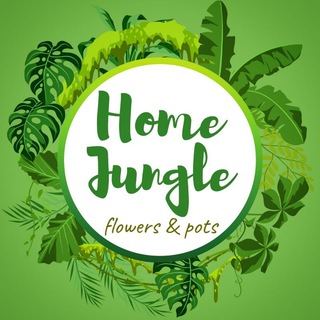 Логотип телеграм канала @homejungle_uz — Homejungle_uz