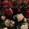 Логотип телеграм канала @homemaraders — домик пиара от домовенка ⚜️