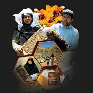 لوگوی کانال تلگرام honey_kouhdasht — Honeykouhdasht