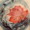 电报频道的标志 hongliansp — 红莲-猎奇意外现场视频
