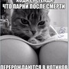 Логотип телеграм канала @hooliganchickplus — Hooli_ganchick