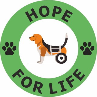 Логотип телеграм канала @hopeforlifetashkent — "НАДЕЖДА на ЖИЗНЬ" Дом 🏡 реабилитации животных инвалидов