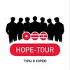 Логотип телеграм канала @hopetourwelcome — Туры в Корею Hope_tour💜