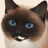 Logo of telegram channel hoppki_m — HOPPKI 💕