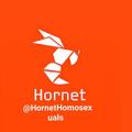 Logo saluran telegram hornethomosexuals — 🧿لینکدونی هورنت