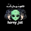 لوگوی کانال تلگرام hornyjat — 👽 Hₒᵣₙy Jₐₜ 👽
