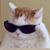 Логотип телеграм канала @hornykotyatki — хорни котятки