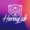 Логотип телеграм канала @hornylab — HornyLab 18 