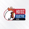 Telegram channel Horoz Electric Asia | Uzbekistan logo