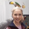 Логотип телеграм канала @horse_birds — Horse & Birds