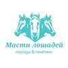 Логотип телеграм канала @horse_info — Масти лошадей | Породы лошадей