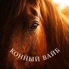 Логотип телеграм канала @horse_vibe — Конный вайб это -