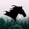 Логотип телеграм канала @horseswomen — horseswomen