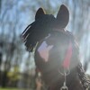Logo of telegram channel horsevarya — 𝑴𝒚 𝒉𝒉 𝒔𝒕𝒐𝒓𝒚💥