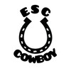 Логотип телеграм канала @horsexverona — ~|ESC "Cowboy" official channel