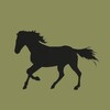 Logo of telegram channel horsikhouse — Horse house