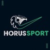 Logo of telegram channel horusxbet11 — HORUS SPORT 🇪🇬🦅