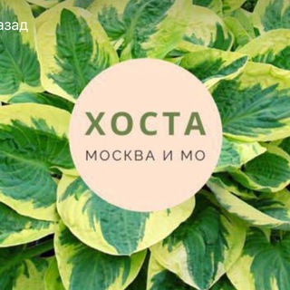 Логотип телеграм канала @hostasad — Хостасад 🌱