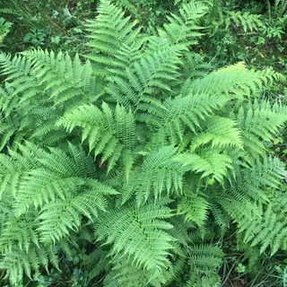 Логотип телеграм канала @hotelspecialoffer — Отели ЛЮДЯМ 💃🏖⛷🏘🏕