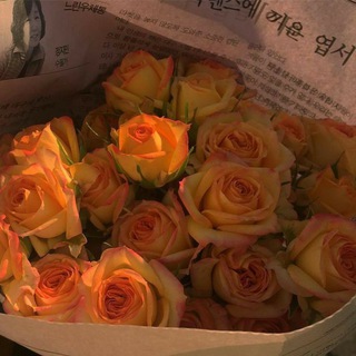 Лагатып тэлеграм-канала hotphrases — 『 𝙊𝙧𝙖𝙣𝙜𝙚🍊 』