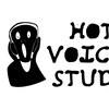 Логотип телеграм канала @hotvoice41 — Hot Voice 41 Studio