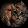 Логотип телеграм канала @house_hollysa — дом холиса