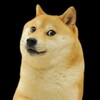 Logo of telegram channel howltalk — Howl Talk