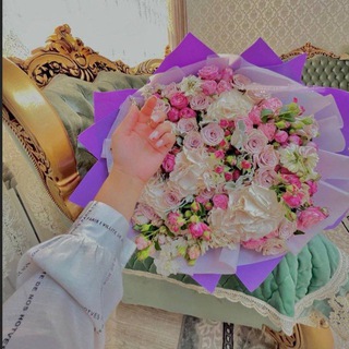 电报频道的标志 hr040322 — 𝔃𝓱𝓲𝓶𝓪 𝓭𝓸𝓰.💌