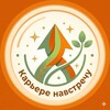 Логотип телеграм канала @hr_for_applicants — Карьере навстречу ✨🌱