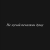 Логотип телеграм канала @hranimoisled — Храни мой след