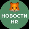 Logo saluran telegram hrmix — Кадровое агентство