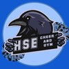 Логотип телеграм канала @hsecheer — HSE CHEER