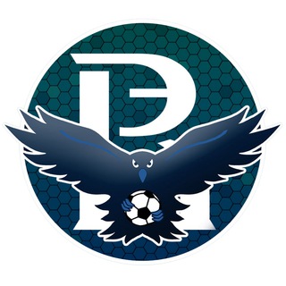 Логотип телеграм канала @hsefootball — Футбол ВШЭ
