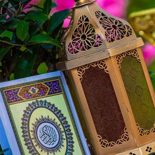 لوگوی کانال تلگرام hsjskskka — عالمـٰ̲ـہ خاصـ๋͜‏ـﮧ 🖤
