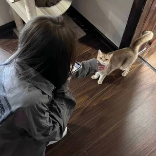 电报频道的标志 huashusu_18 — 话术进阶 人设素材