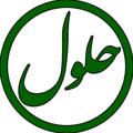 Logo saluran telegram hulool — حلول