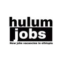 የቴሌግራም ቻናል አርማ hulumjob — Ada info
