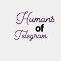 Logo saluran telegram humansoftelegram — Humans of Telegram