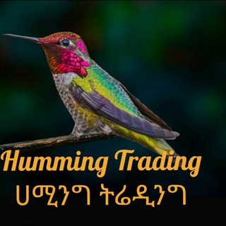 የቴሌግራም ቻናል አርማ humming1 — HT Information channel ሀት መረጃ ቻናል