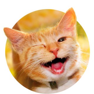 Telegram channel Юмор на каждый день logo